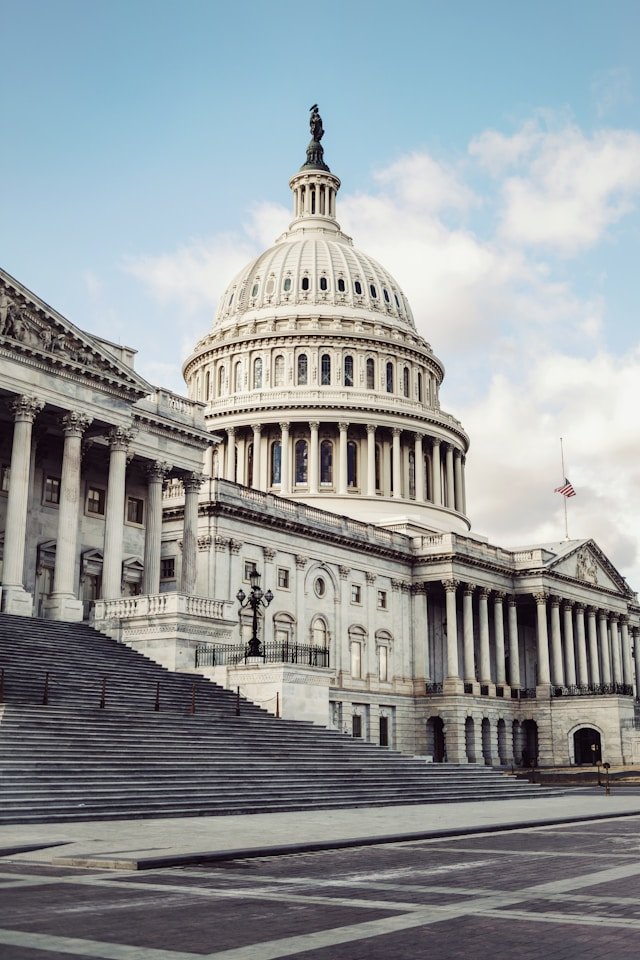 government